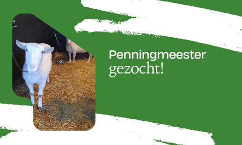 Penningmeester gezocht